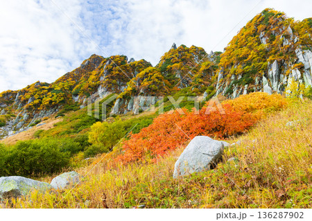 秋の中央アルプス　紅葉の千畳敷カール 136287902
