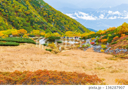 秋の中央アルプス　紅葉の千畳敷カール 136287907