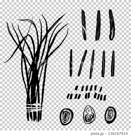 香草套裝插圖,包括檸檬草束、莖和橫截面 香草套裝插圖,包括檸檬草束、莖和橫截面 136287914