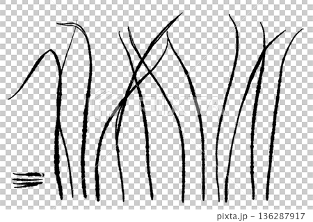 天然棲息地中生長的檸檬草草地的插圖 136287917