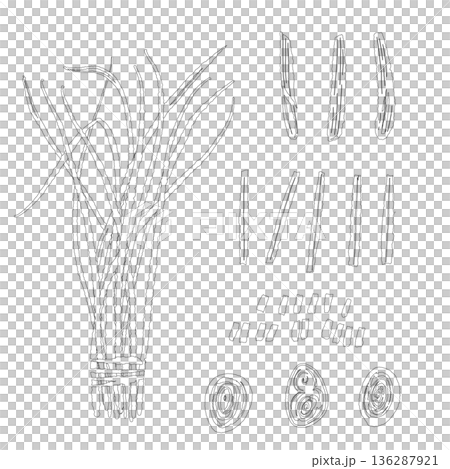 香草組合的線描圖，包括檸檬草束、莖和橫切面 136287921
