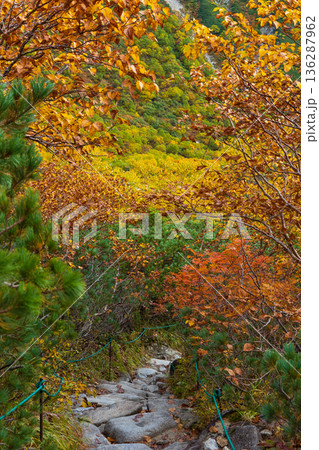 秋の中央アルプス 紅葉の千畳敷カール 秋の中央アルプス 紅葉の千畳敷カール 136287962