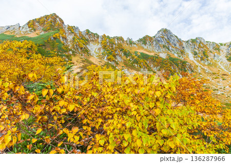 秋の中央アルプス　紅葉の千畳敷カール 136287966