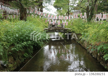 京都・松尾大社 136288231