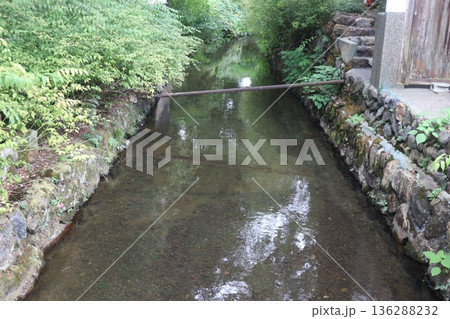 京都・松尾大社 京都・松尾大社 136288232