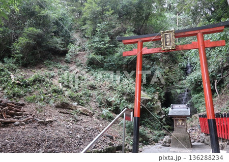 京都・松尾大社 136288234