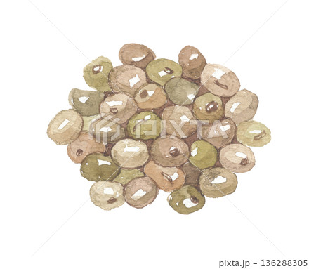 水彩で描いたエゴマ　実　種子 136288305