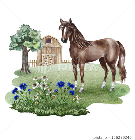 A horse in a farmyard. Hand-drawn watercolor illustration. Beautiful, colorful image. Perfect for dairy product advertising, banners, posters, packaging, labels, and more. A horse in a farmyard. Hand-drawn watercolor illustration. Beautiful, colorful image. Perfect for dairy product advertising, banners, posters, packaging, labels, and more. 136289240