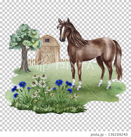 A horse in a farmyard. Hand-drawn watercolor illustration. Beautiful, colorful image. Perfect for dairy product advertising, banners, posters, packaging, labels, and more. 136289240