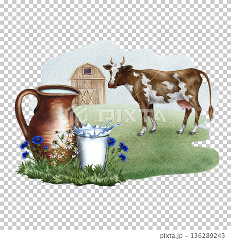 Cow's milk. A clay jug and a glass of milk in a rural scene with a cow. A hand-drawn watercolor illustration. For advertising dairy products, banners, posters, packaging design, labels, and more. 136289243