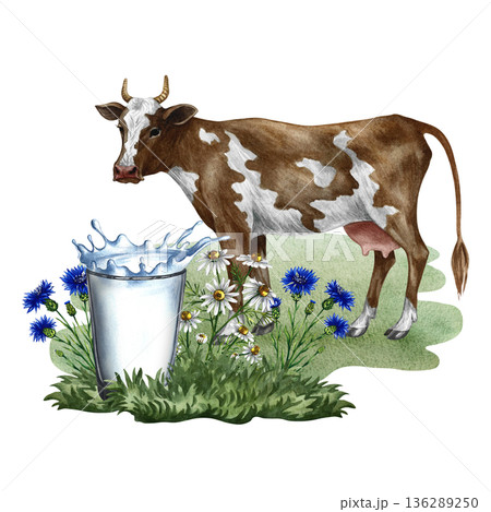 Cow's milk. A glass of milk and wildflowers on a cow background. Hand-drawn watercolor illustration. Perfect for dairy product advertising, banners, posters, packaging, labels, and more. 136289250