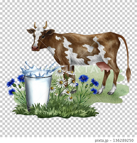 Cow's milk. A glass of milk and wildflowers on a cow background. Hand-drawn watercolor illustration. Perfect for dairy product advertising, banners, posters, packaging, labels, and more. Cow's milk. A glass of milk and wildflowers on a cow background. Hand-drawn watercolor illustration. Perfect for dairy product advertising, banners, posters, packaging, labels, and more. 136289250