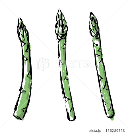 筆タッチのアスパラガスの手描きイラスト 136289328