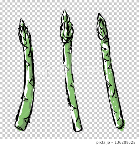 筆タッチのアスパラガスの手描きイラスト 136289328