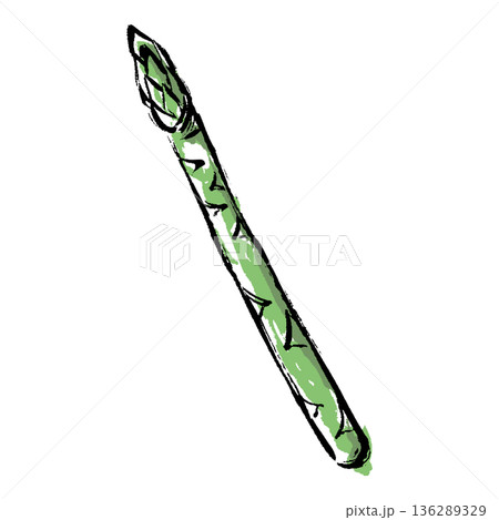 筆タッチのアスパラガスの手描きイラスト 筆タッチのアスパラガスの手描きイラスト 136289329