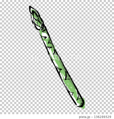 筆タッチのアスパラガスの手描きイラスト 筆タッチのアスパラガスの手描きイラスト 136289329