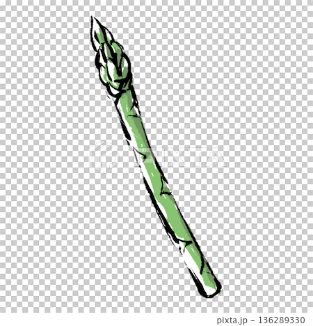 Hand-drawn illustration of asparagus with a brush stroke Hand-drawn illustration of asparagus with a brush stroke 136289330