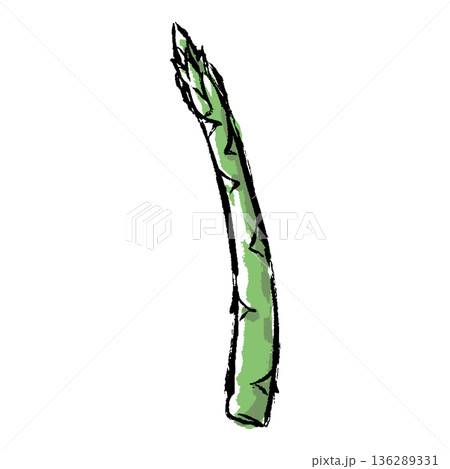 筆タッチのアスパラガスの手描きイラスト 136289331
