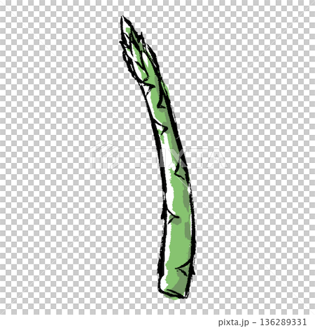 筆タッチのアスパラガスの手描きイラスト 136289331