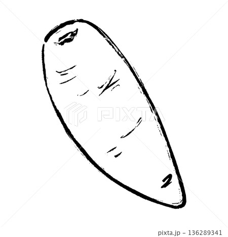 筆タッチの人参の手描きイラスト 筆タッチの人参の手描きイラスト 136289341