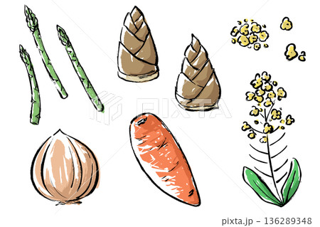 春野菜5種類の筆タッチイラストのセット 春野菜5種類の筆タッチイラストのセット 136289348