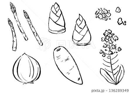 春野菜5種類の筆タッチイラストのセット 136289349