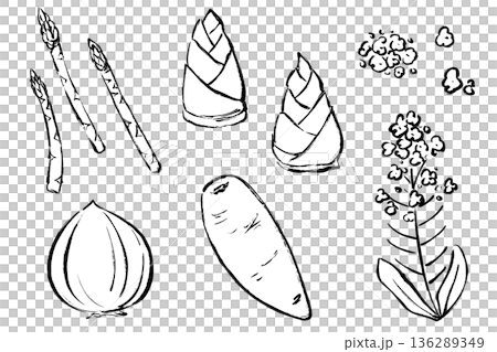 A set of five brush-touch illustrations of spring vegetables 136289349