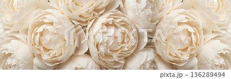Dense bouquet of white peonies with layered petals in soft natural lighting for a romantic atmosphere 136289494