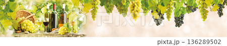 Panoramic vineyard scene featuring red and white wine bottles with glasses and hanging green grapes in sunlight Panoramic vineyard scene featuring red and white wine bottles with glasses and hanging green grapes in sunlight 136289502