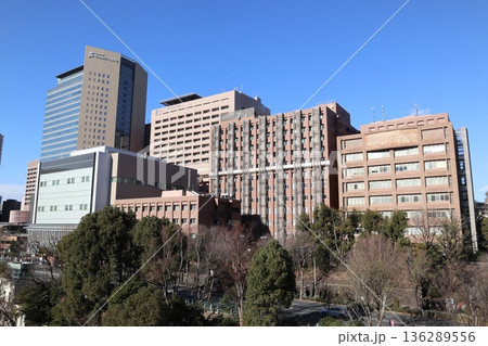 東京科学大学医学部 136289556