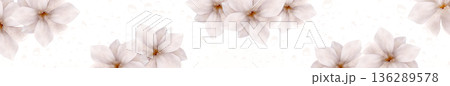 Artistic panoramic header with soft white jasmine flowers and delicate water droplets on a clean white background Artistic panoramic header with soft white jasmine flowers and delicate water droplets on a clean white background 136289578