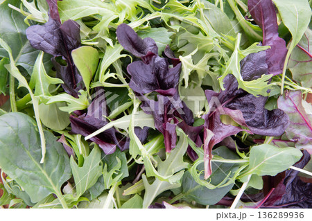 ベビーリーフのアップ 136289936