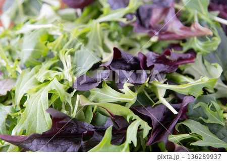 ベビーリーフのアップ 136289937