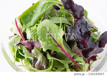 ベビーリーフのアップ 136289947