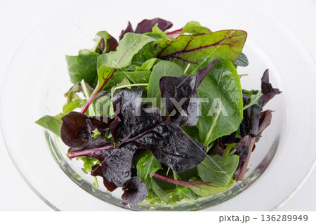 ベビーリーフのアップ 136289949