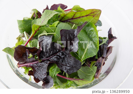 ベビーリーフのアップ 136289950