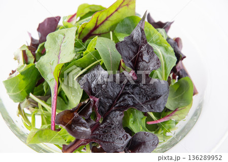 ベビーリーフのアップ 136289952