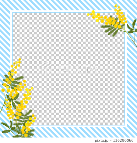 Mimosa frame (square, transparent background, light blue stripes) Mimosa frame (square, transparent background, light blue stripes) 136290066