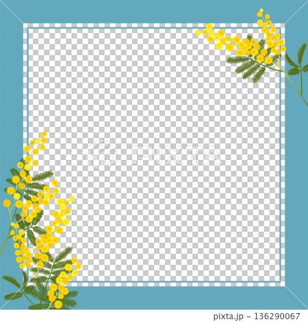 Mimosa frame (square, transparent background, blue frame) Mimosa frame (square, transparent background, blue frame) 136290067