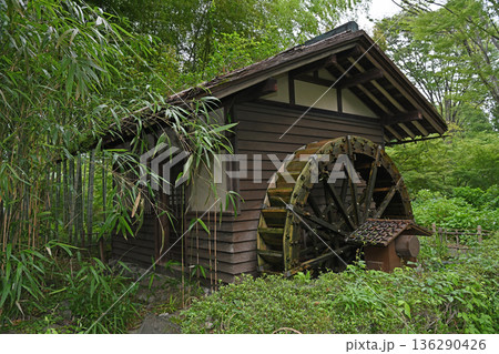 雨の日の森に囲まれた水車小屋 136290426