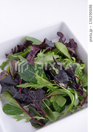 白い角皿に入れたベビーリーフ 136290886