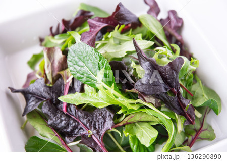 白い角皿に入れたベビーリーフ 白い角皿に入れたベビーリーフ 136290890