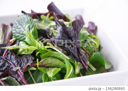 白い角皿に入れたベビーリーフ 白い角皿に入れたベビーリーフ 136290893