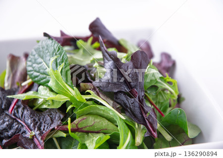 白い角皿に入れたベビーリーフ 136290894