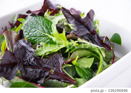 白い角皿に入れたベビーリーフ 白い角皿に入れたベビーリーフ 136290896