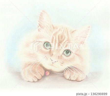 サイベリアン 色鉛筆 サイベリアン 色鉛筆 136290899