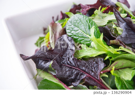 白い角皿に入れたベビーリーフ 136290904