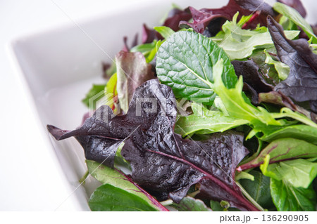 白い角皿に入れたベビーリーフ 136290905