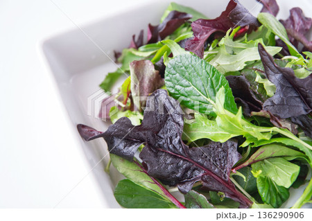 白い角皿に入れたベビーリーフ 136290906