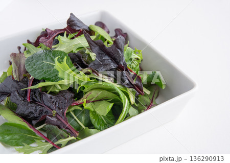 白い角皿に入れたベビーリーフ 136290913